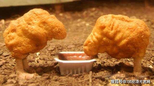 《探索美食秘境：更新全网唯一超全美食纪录片整理》