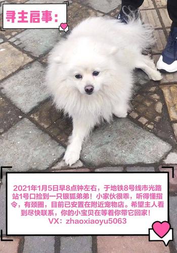 《2021年：爸爸和儿子的温暖旅程——领养找寻Found》HD1080P