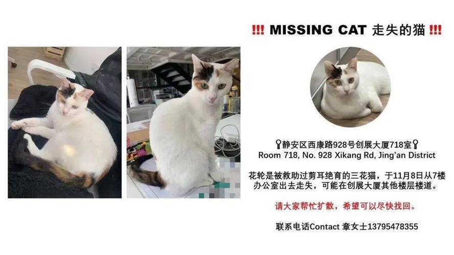 《2021年：爸爸和儿子的温暖旅程——领养找寻Found》HD1080P