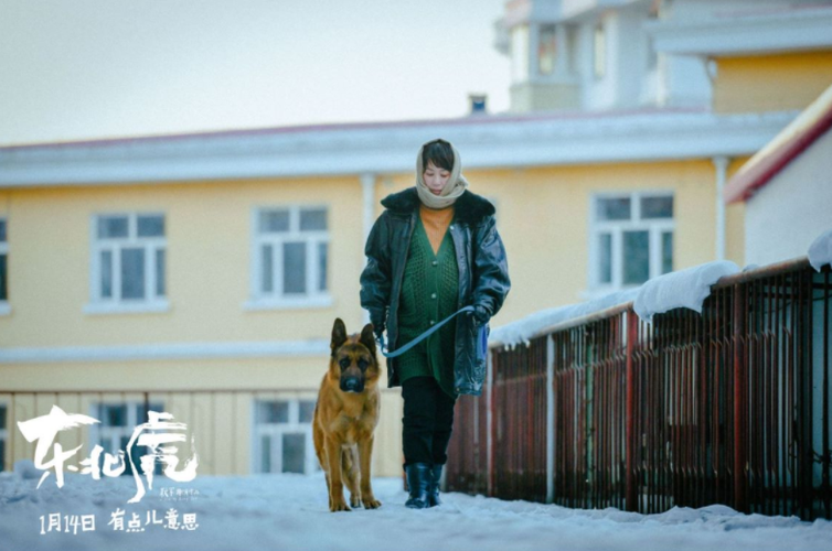 《2022年新片《东北虎》：1080P高清，马丽、章宇爆笑喜剧，阿里云盘极速查看、视频原画倍速播放》