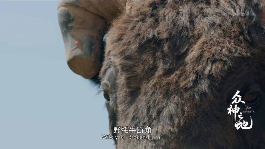 精彩纪录片大合集：BBC系列、荒野求生系列、美食系列等，高清原画质量，支持多种播放格式