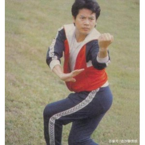 经典古装动作片《南拳王》：肖龙、范东尼、林海南领衔主演，以10万两白银为代价，抵抗太平天国入侵！4K.高码，11.8GB，极具真功夫迷的最爱！