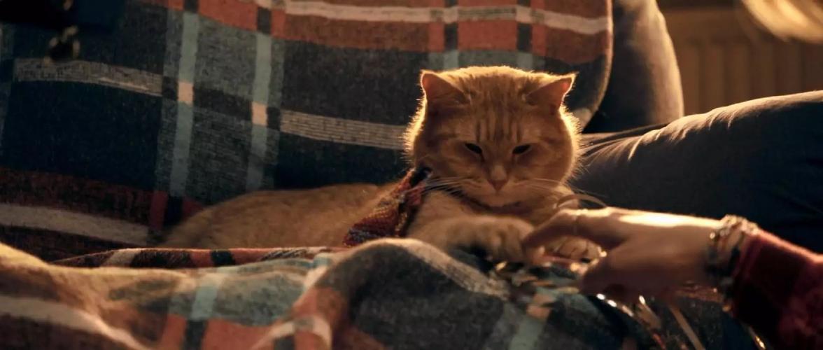 《天翼网盘：波西米亚狂想曲·幸福终点站·当幸福来敲门》