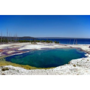黄石「Yellowstone.US」APP：丰富的原画、音乐、视频资源，倍速制作，满足您的需求