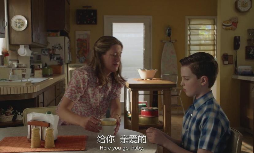 小谢尔顿第四季中字1080p：多格式支持、阿里云盘下载、视觉效果出色