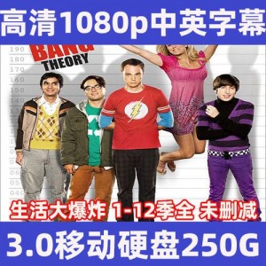 收藏级资源《生活大爆炸》12季全剧终1080P中字版本，阿里云盘存储，支持倍速播放，观影体验更佳！