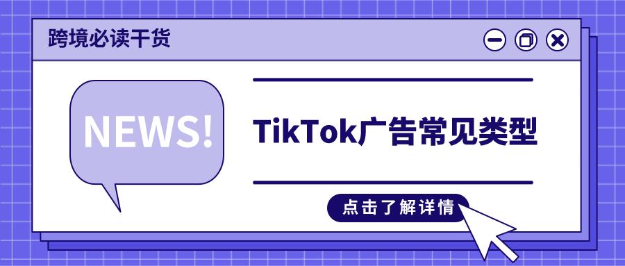 Tik-tok：福建Li短视频公司出品，限时分享，社交媒体快速分享！