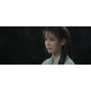 《九阳神功：倚天屠龙记传奇之旅》