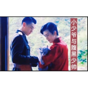 《老九门之青山海棠.2022》——穿越时空的爱情故事