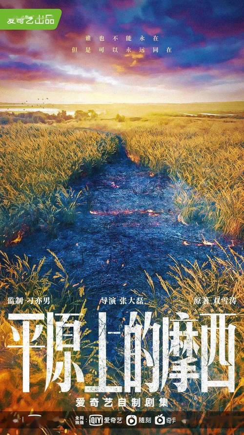 2022年阿里云技术支持：《盛装》五百执电视剧