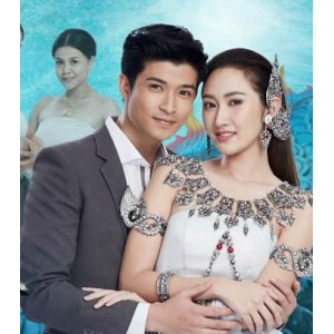 完美资源：4K电影、电视剧、动画片、游戏、武术培育、烹饪厨艺、聊天艺术