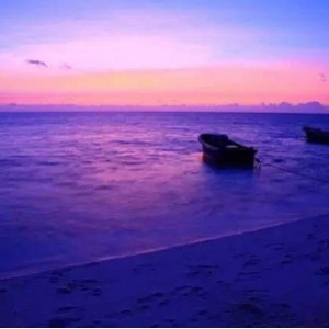 阿里云盘上提供的《乐酷乐青春》，1080P荷兰语喜剧，深度了解荷兰文化历史