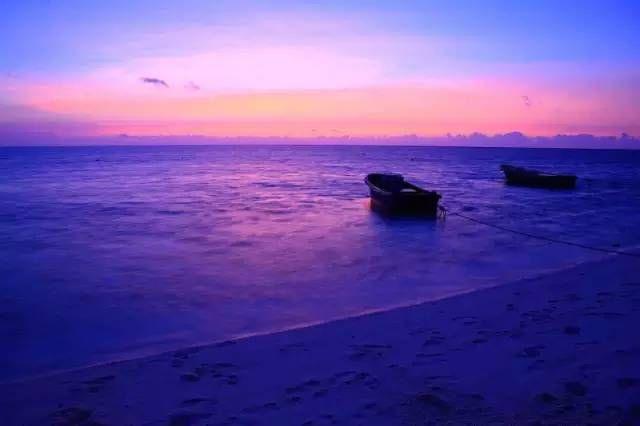 阿里云盘上提供的《乐酷乐青春》，1080P荷兰语喜剧，深度了解荷兰文化历史