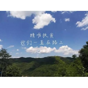 免费观看《永远在路上2016（8集全）》：给力挑战极限，倍速播放，原画质量高！