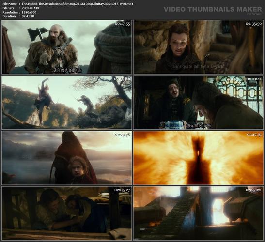 《如我们所见：纽约市的日常生活》