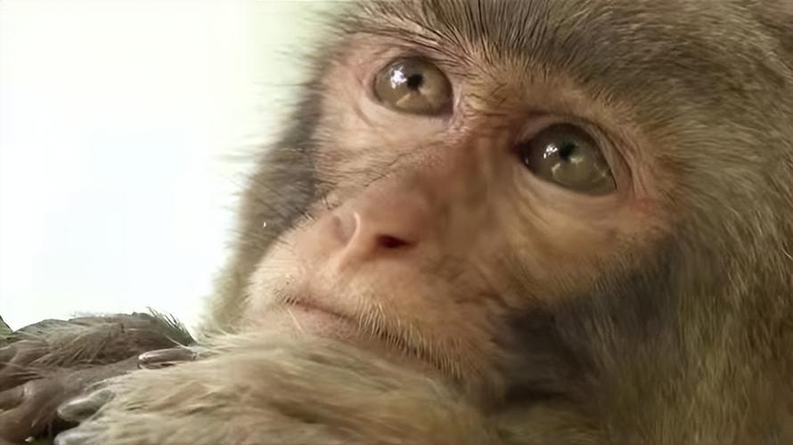 《绝佳英语听力！央视《美丽中国》系列短片53集完整版》