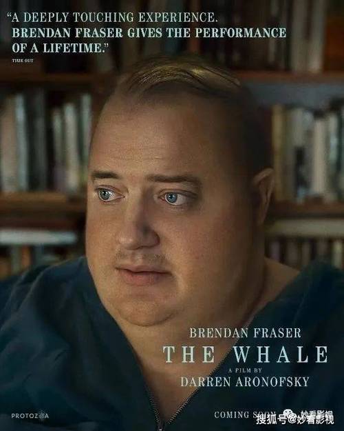 13.3T美剧合辑：HBO热门美剧+英剧+漫威4K，一次性观看经典剧集与电影