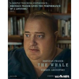 13.3T美剧合辑：HBO热门美剧+英剧+漫威4K，一次性观看经典剧集与电影