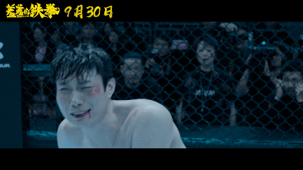 热门网络动画短片《羞羞铁拳》：MP4格式、APP原画、倍速播放及阿里云盘下载