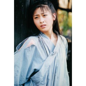 《明朝末年：吴京少林武王》
