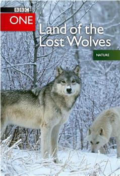 答：《老虎失落之地：豆瓣9.1纪录片（2010）》