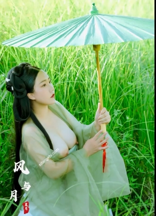 推特古风合集：永久链接，永不失效，5V+900MB视频资源，玉芝精彩歌曲