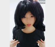 王者荣耀精品视频＋一线天妹子＋神秘处＋287V＋1G玩具