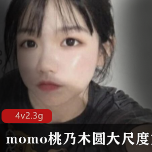 Momo桃乃木推特圆有尺度第二套