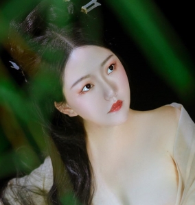 转载搬运推特古风合集5v500p900m百度盘