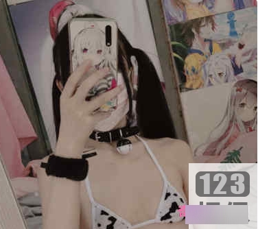 25套86V+直播33.6G社保姬小齿幼喵全合集