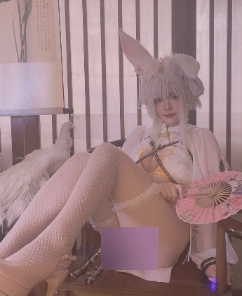 feng+ru+fei+tunNinJa阿寨寨作品合集[11套]NP/3G/百度云