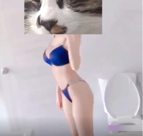 女神风格黑丝网袜主播款