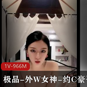 外W女神与约C豪哥的精选1V-966M