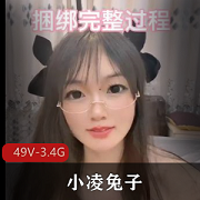 可御可萝的小凌兔子无保护[49V-3.4G]