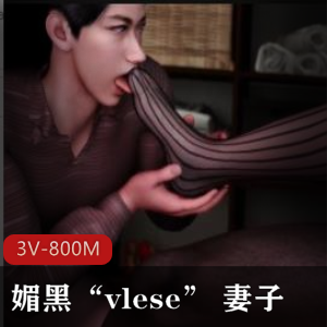 媚黑：3V-800M丝袜黑R视频