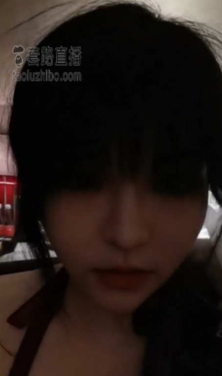 套路直播木秋夜深合集11.5G