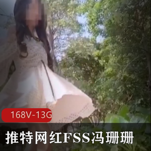 FSS冯珊珊打野视频合集：168个视频，总大小13G