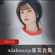 夏花推特网红私人视频合集62集2G