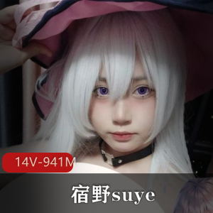 宿野suye露脸定制14部14V-941M，小L莉cos角色L福利，可爱道具CC，售价不菲，下载观看！