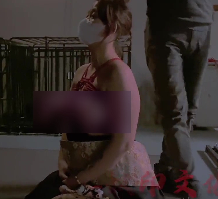 推特SM大神奴印文化指教反差妹子，140图51视频1.24G