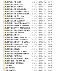 百度云远锅版精品资源：小猫109三人游184V8.41GPR社