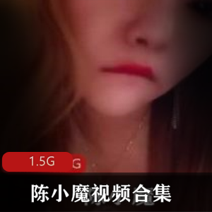 快手性感黑丝美腿陈小魔视频合集1.5G