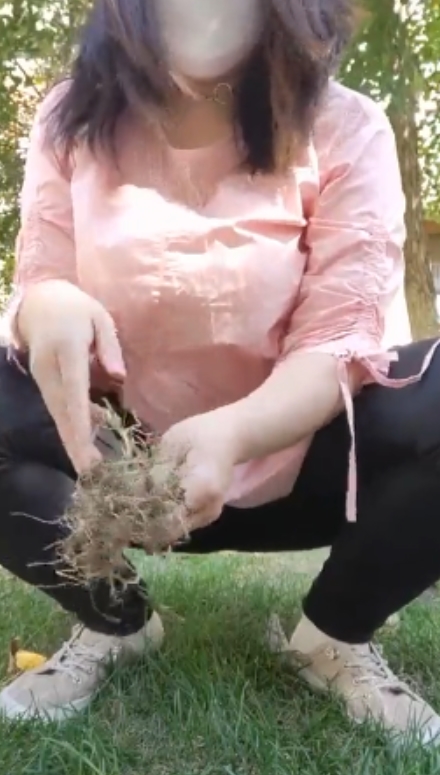 熟女柏欣彤广场舞57g合集，风情万种收藏福音