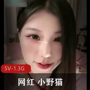 网红直播小野猫御姐反差合集5V1.3G，超高颜值道具秀