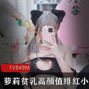 妹子微博高颜值绯红小猫最新合集1V849M，青春型诱惑