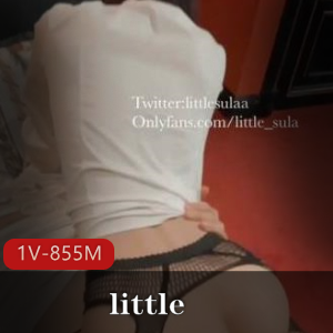 女神OnlyFans圣诞反差little最新付费合集1V855M，身材诱惑