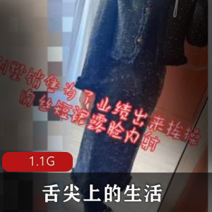 推特舌尖美术老师合集1.1G汪峰演唱会绝了