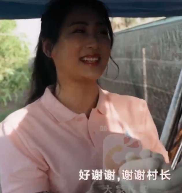 传媒新作15部9.1G各类平台劲爆合集