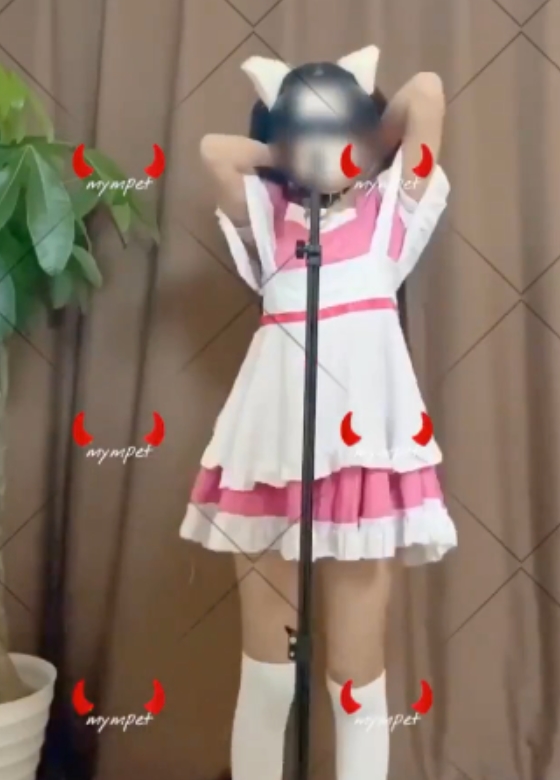 小辣椒弹力摇珍藏版合集2265部抖音风25.5G