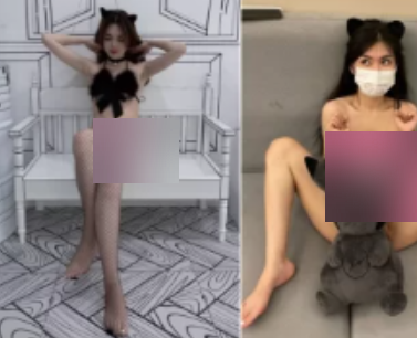 推特BMWZ指教视频76部3G优质资源